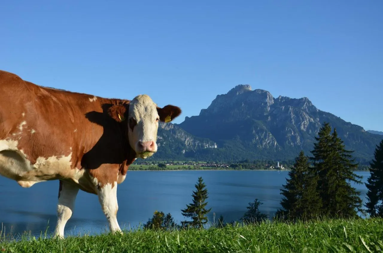 Salenberghof Ferienwohnung Bergsee Rieden am Forggensee